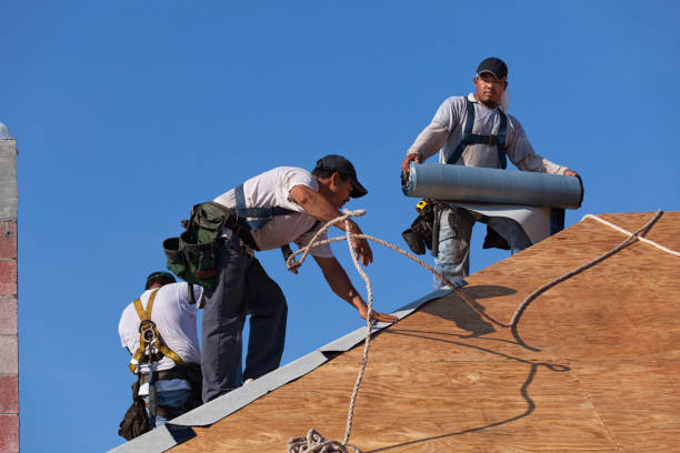 Best Gutter Installation and Roofing  in Waynesburg, OH